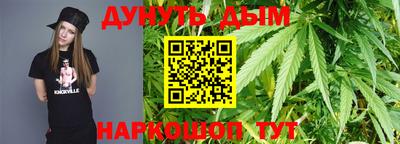 mdpv Гатчина