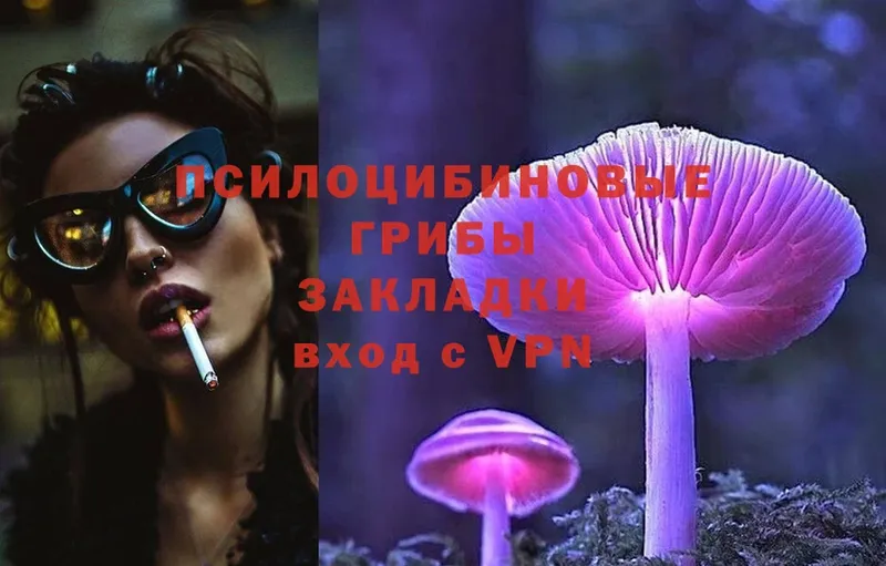 Галлюциногенные грибы MAGIC MUSHROOMS  даркнет сайт  блэк спрут зеркало  Кондопога 