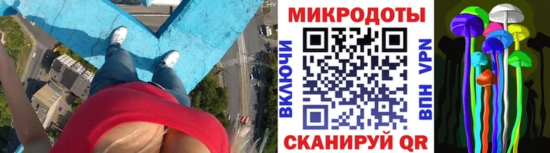shop формула  Кондопога  Галлюциногенные грибы ЛСД 