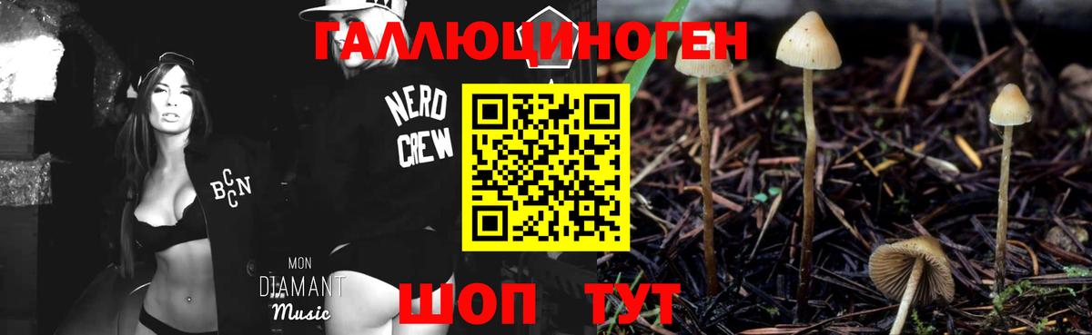 Псилоцибиновые грибы мухоморы  Кондопога 