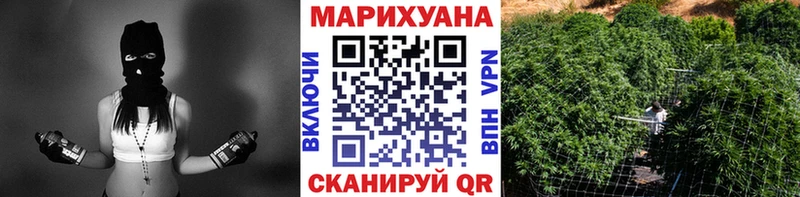как найти Кондопога Марихуана White Widow